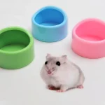 Bassin de nourriture pour hamster, bol de nourriture pour animaux de compagnie anti-tour kasgehog en porcelaine ABS 216.239.Fournitures pour hamster