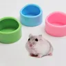 Bassin de nourriture pour hamster – vue 1