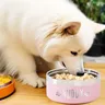 Bol personnalisé en acier inoxydable pour chien et chat – vue 4