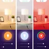 Tuya Smart WiFi Zigbee RGB CCT inda Ampoule LED – vue 4