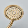 Douchette laiton antique tête céramique blanche motif… – vue 4