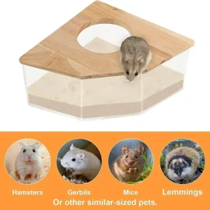 Boîte à sable pour salle de bain pour Hamster, bassin de sable d&rsquo;urine entièrement Transparent, fournitures d&rsquo;ours doré, conteneur de bain de sable, salle de bain pour Hamster