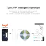 Tuya – vue 2