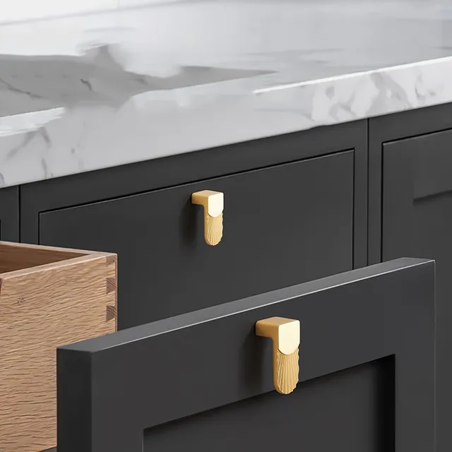 Porte d'armoire Simple et luxueuse – vue 2