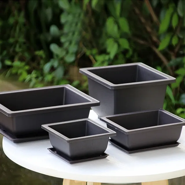 Pots d'entraînement bonsaï rectangulaires – vue 3