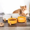 Filles en céramique pour animaux de compagnie avec… – vue 5