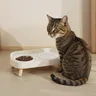 Double bol pour animaux de compagnie – vue 3