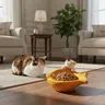 Bol en céramique pour chat – vue 5