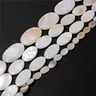 Perles ovales en coquillage naturel pour bijoux – vue 2