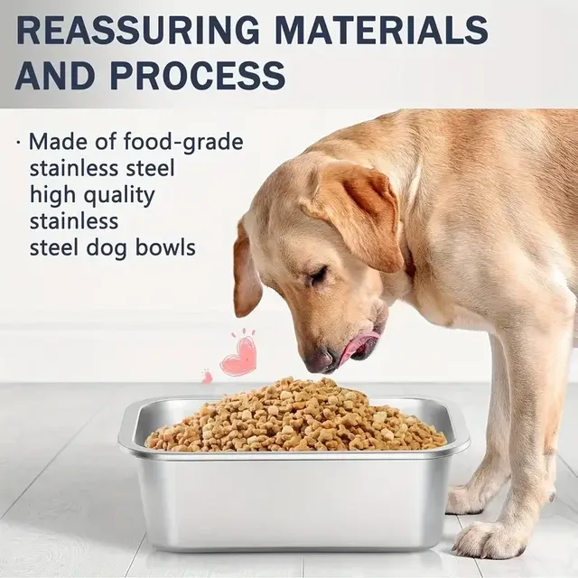 Un bol pour chien en acier inoxydable de grande capacité – vue 3