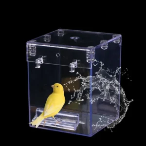 Lovebirds – douche en acrylique pour animaux de compagnie, bain d’oiseaux suspendu Transparent pour Cage, baignoire pour perroquets, boîte de bain pour oiseaux Lovebirds – douche en acrylique pour animaux de compagnie, bain d’oiseaux suspendu Transparent pour Cage, baignoire pour perroquets, boîte de bain pour oiseaux