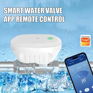 Vanne d&rsquo;eau intelligente DN20, système de gestion de l&rsquo;eau 3/4, télécommande WiFi, minuterie de robinet pour tuyau, minuterie d&rsquo;arrosage automatique