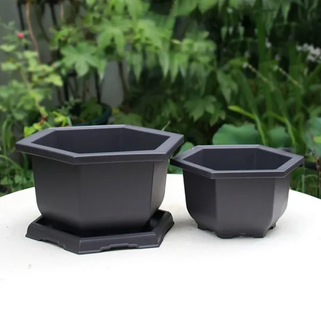 Pots d'entraînement bonsaï rectangulaires – vue 5