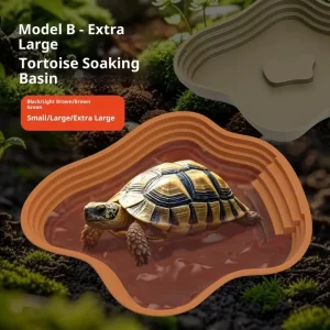 Le bassin de bain tortue grenouille avec rampe antidérapante peut également être utilisé comme bol de nourriture et bassin d&rsquo;eau pour reptiles et amphibiens