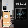 Tuya Smart WiFi ThermoandreElectric – vue 4