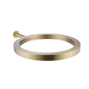 Pommeau de douche mural pour salle de bain, 16 pouces, pluie, acier inoxydable, 42x42cm, brosse, or, gris, cerceau de basket-ball, conception, surpression Pommeau de douche mural pour salle de bain, 16 pouces, pluie, acier inoxydable, 42x42cm, brosse, or, gris, cerceau de basket-ball, conception, surpression