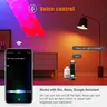Tuya – vue 6
