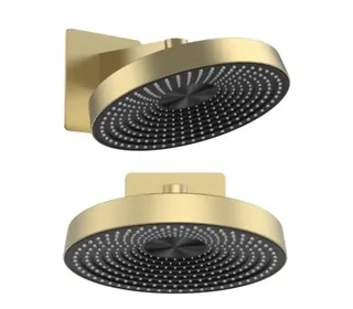 Pommeau de douche à grande pluie de 12 pouces avec bras