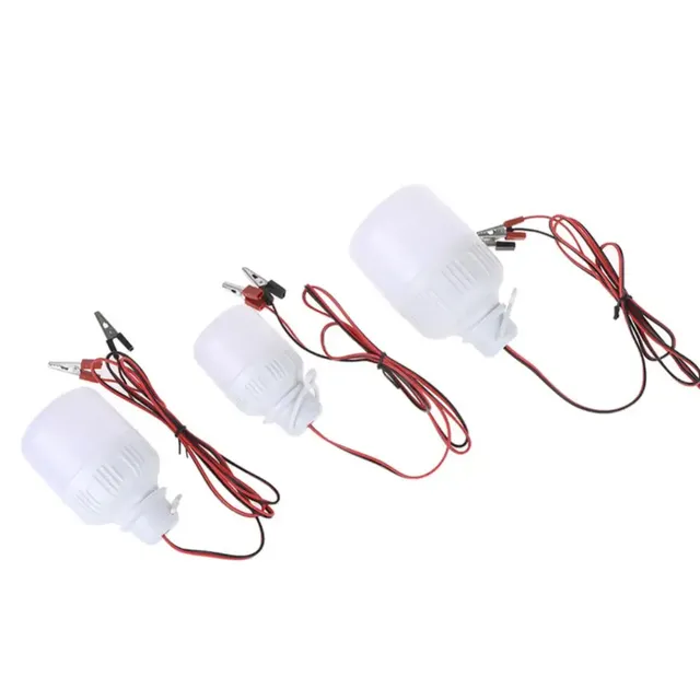 Ampoule LED avec pince crocodile pour batterie 12 volts – vue 3