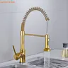 Robinet de cuisine extractible