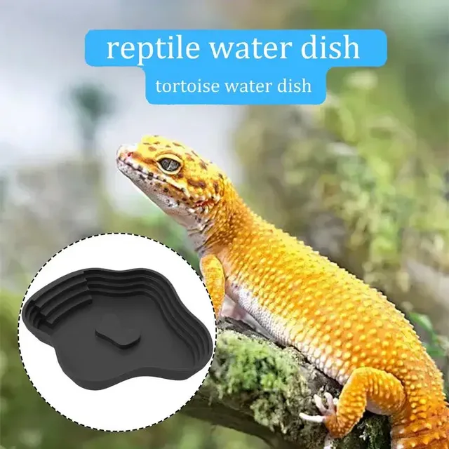 Plat d'eau pour reptiles – vue 5