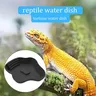 Plat d'eau pour reptiles – vue 5