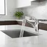 Robinet de cuisine extractible – vue 1