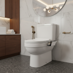 Bidet siège de toilette fixation Non électrique autonettoyant double buses lavage chaud froid mélangeur eau dame salle de bain accessoires pulvérisateur