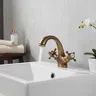 Robinet de douche de bidet antique – vue 1