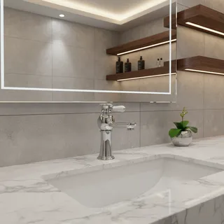 Robinet mitigeur de lavabo de comptoir