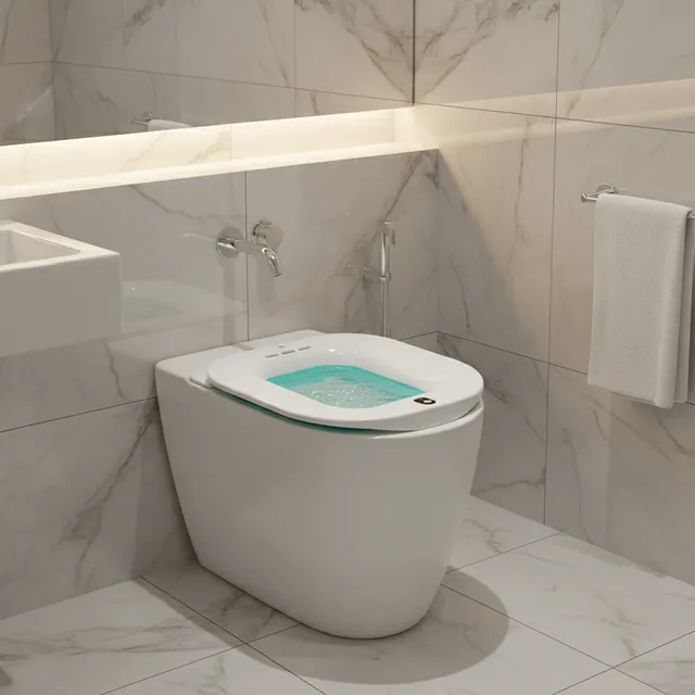Bassin lavage électrique pliant portatif ergonomique…