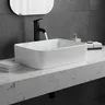 Robinet inoxydable 304 noir mat haut monocommande… – vue 1