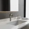 Robinet de lavabo en Nickel brossé – vue 1