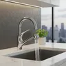 Pulvérisateur de robinet de cuisine chromé