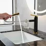 Robinet extractible pour lavabo de salle de…