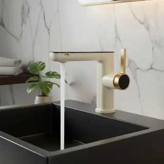 Lavabo de rinçage