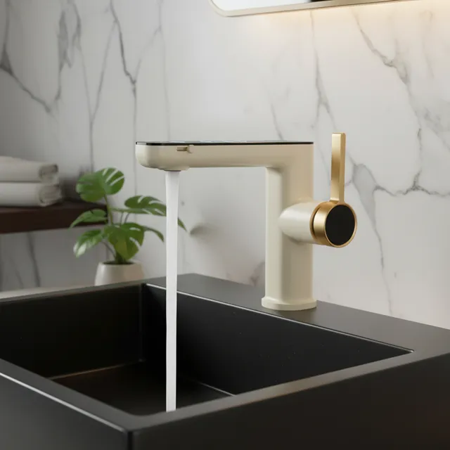Lavabo de rinçage
