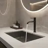 HOSink-Lavabo Noir en Acier Inoxydable Brossé