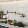 Robinet mural pliable bras double laiton massif brossé… – vue 1