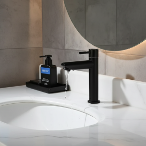 Robinet d&rsquo;Eau Froide Simple en Acier Inoxydable 304, Noir Argent, Document Monté sur le Pont, Allongement et Levage du Bassin, Robinet d&rsquo;Évier