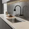 Robinet mural cuisine évier acier inox sus304 noir mat… – vue 1