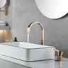 Robinet de lavabo salle de bains tuyau super long deux… – vue 1