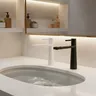 Robinet de lavabo de salle de bains