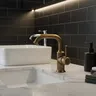 Mitigeur Lavabo Monotrou Bec Haut Col Cygne…