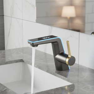 Affichage de la température du bassin haut de gamme, lumière LED, pulvérisateur à 2 modes, eau chaude et froide, robinet de lavage de centre commercial, trou unique pour HOHO.