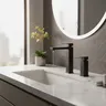 Shinesia robinets de salle de bains en acier…
