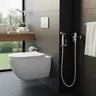 Pulvérisateur de robinet de Bidet de…