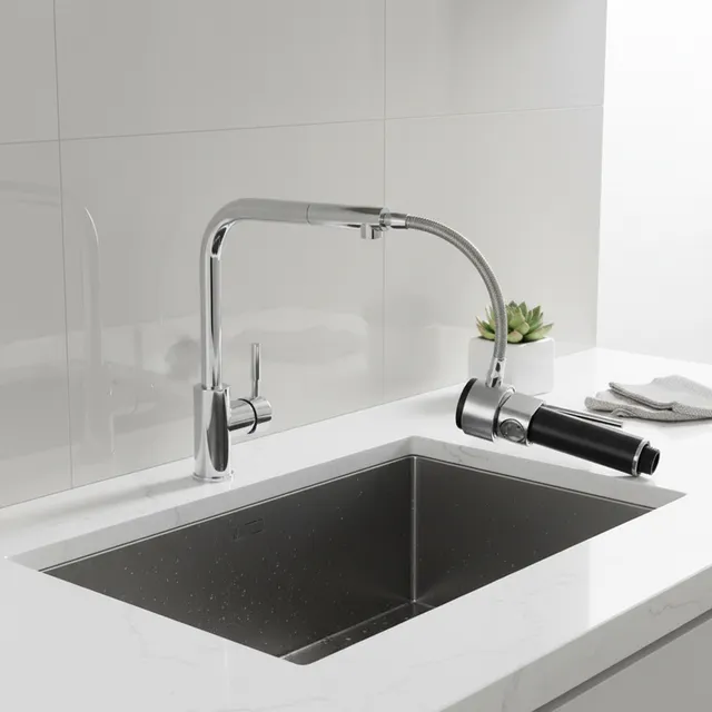 Buse de robinet extractible de cuisine